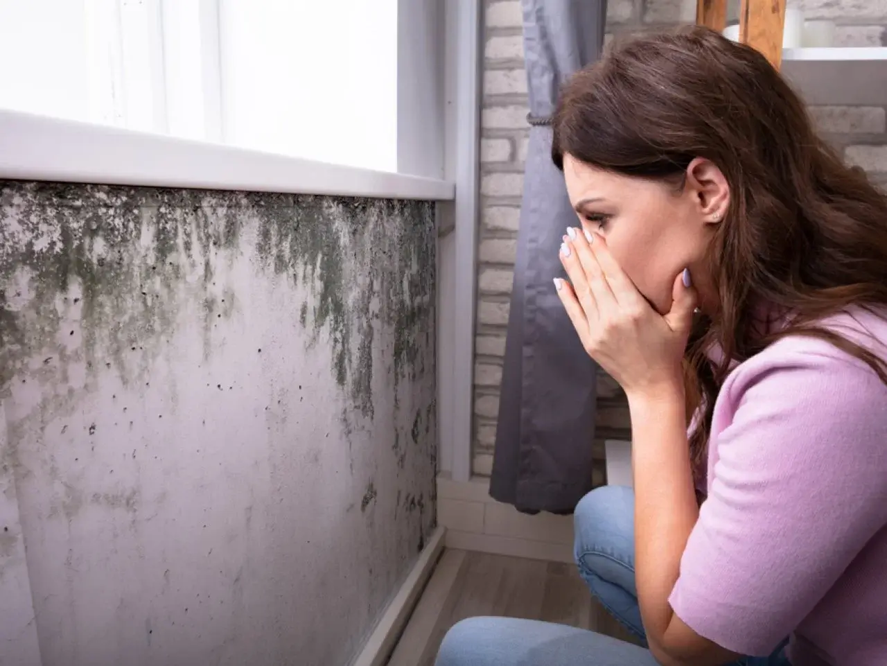 Wall mold Air quality testing